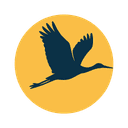 Crane News
