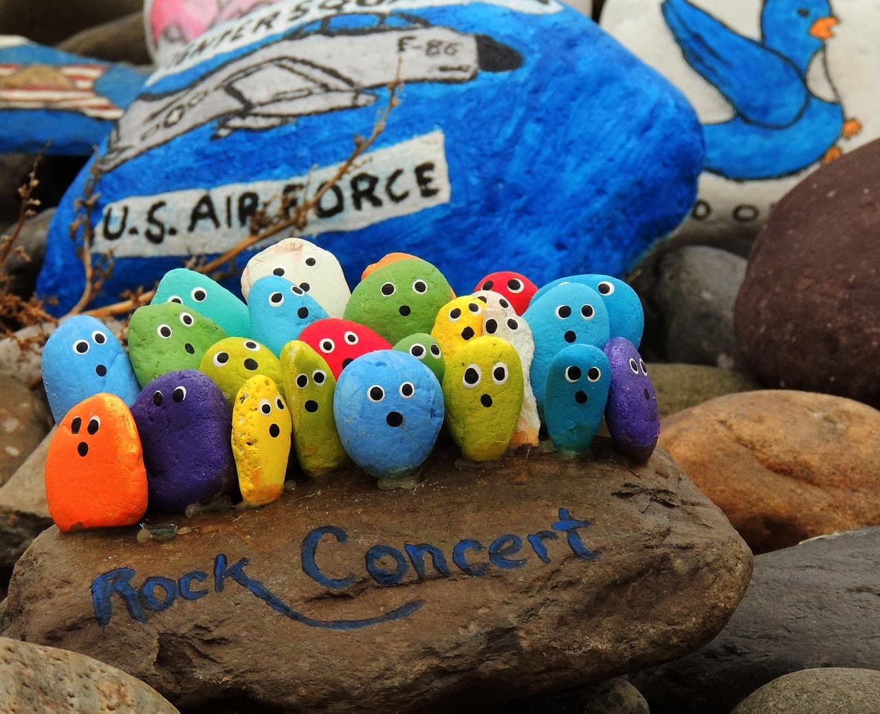 Crane Rock Hound: Painting Joy, One Rock at a Time