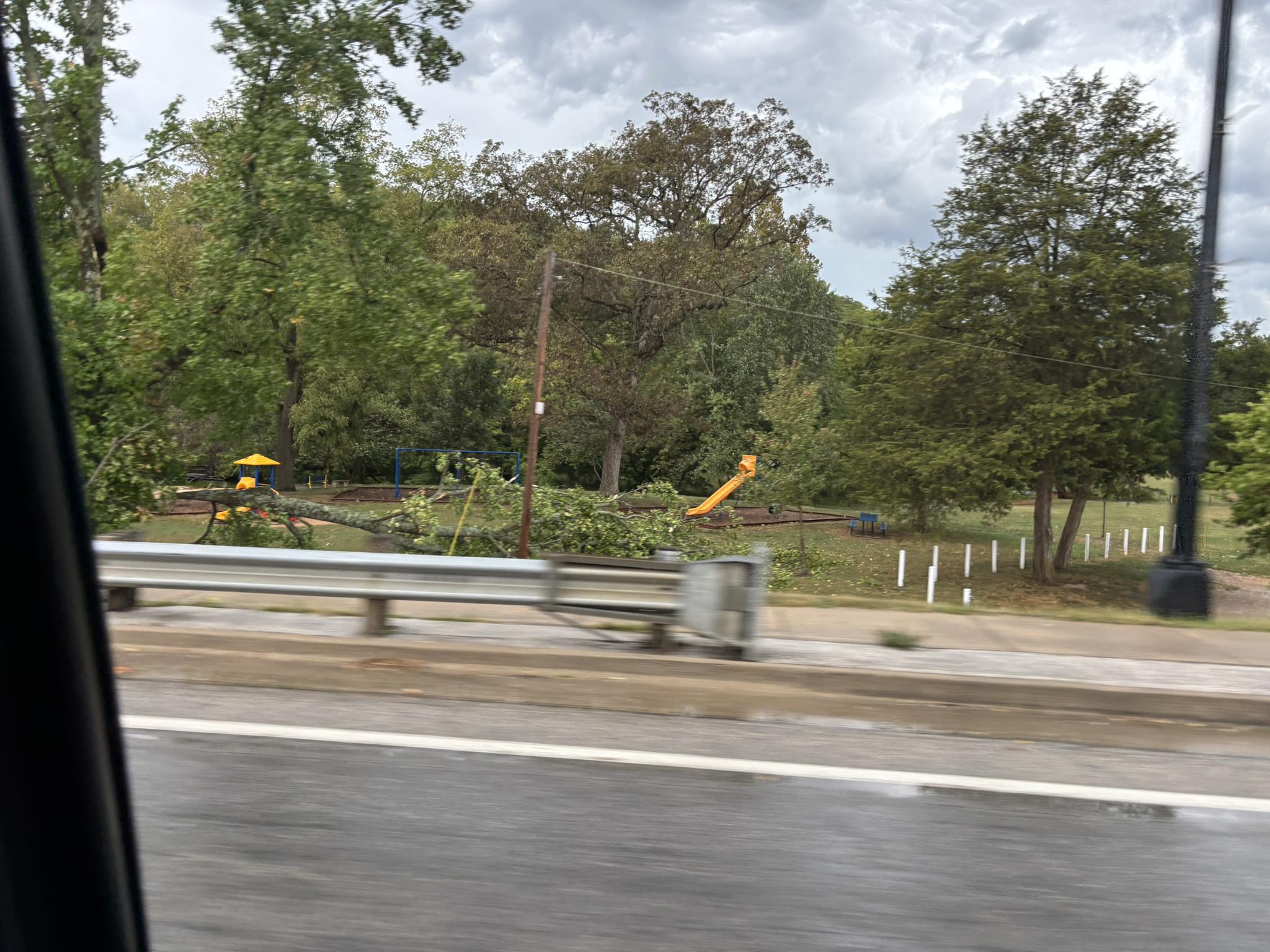 Tree limb down at park