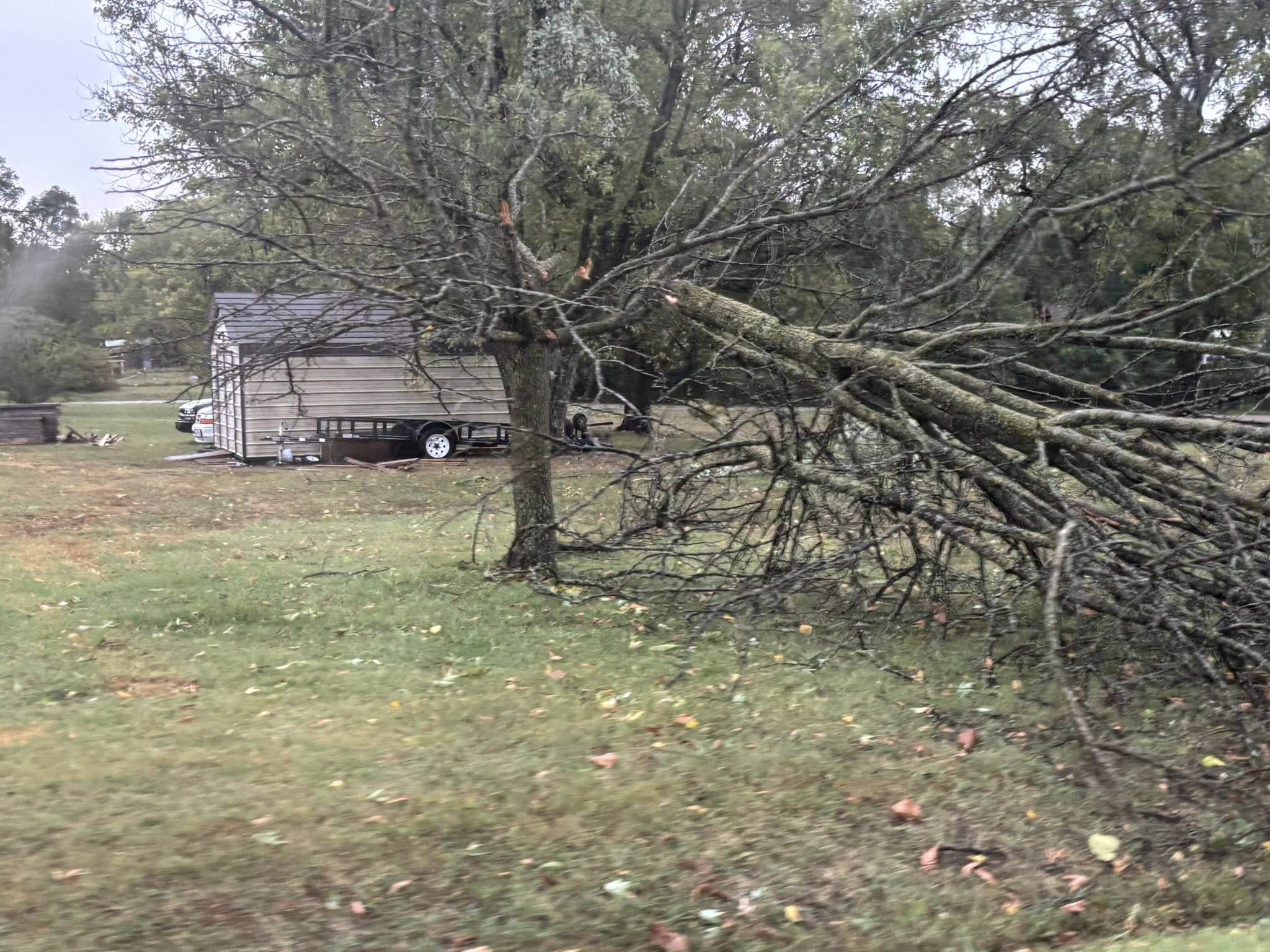 Tree damage on Madison Avenue (BB HWY)